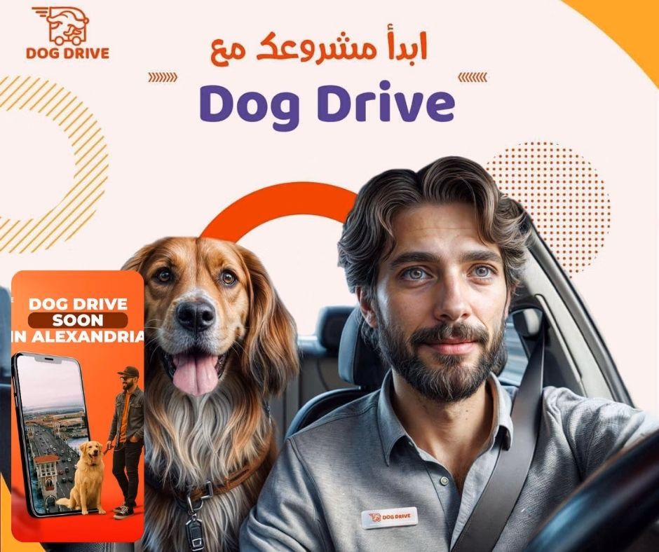 Dog Drive
